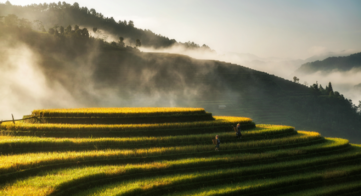 Câu chuyện của chúng tôi